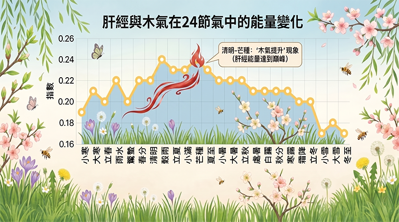 透過肝經觀察木氣提升現象