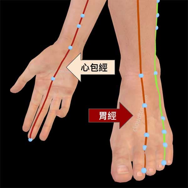 手厥陰心包經