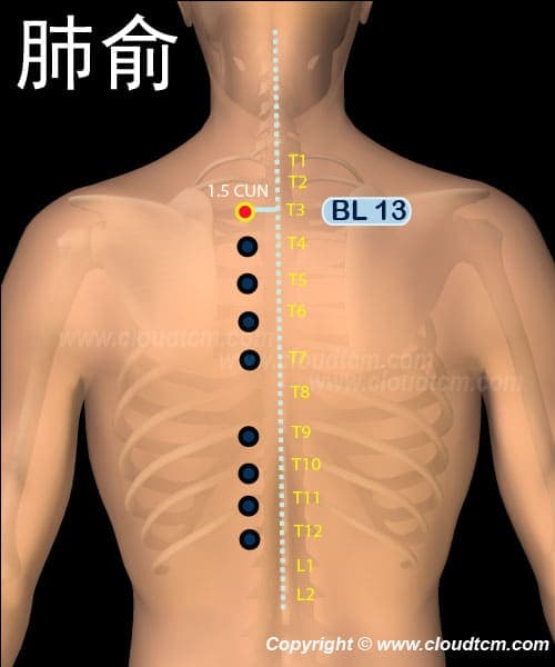 肺俞