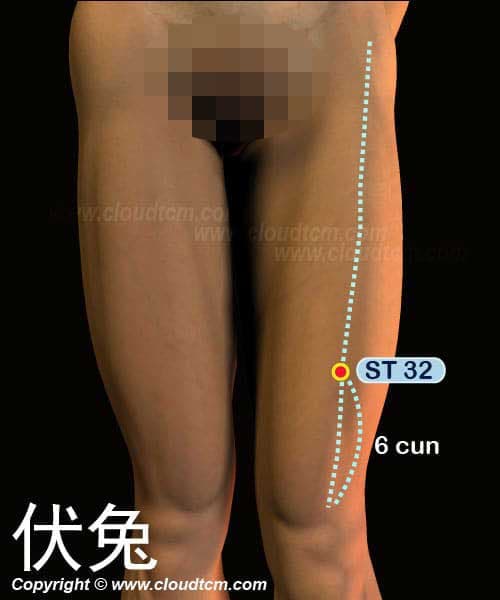 伏兔