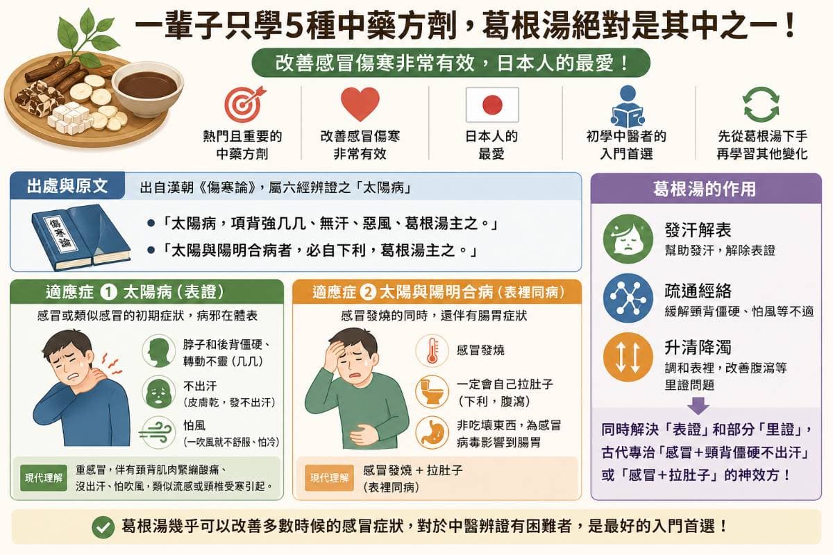 葛根湯是改善感冒傷寒的首選中藥方劑