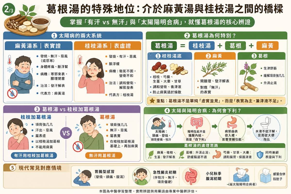 葛根湯與傷寒論的分析
