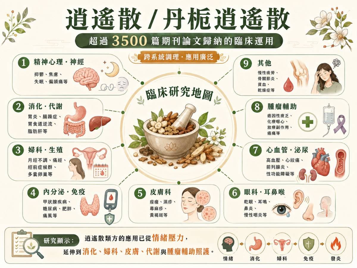 逍遙散與加味逍遙散的現代研究