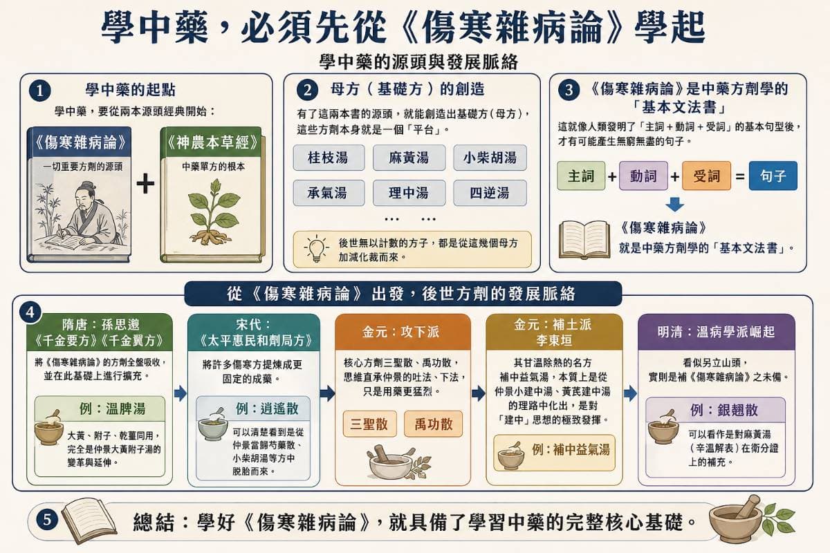 學中藥必須先從《傷寒雜病論》學起