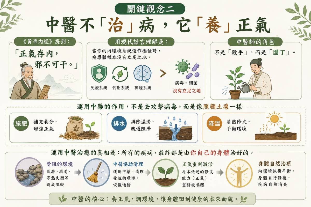 中醫不「治」病，它「養」正氣