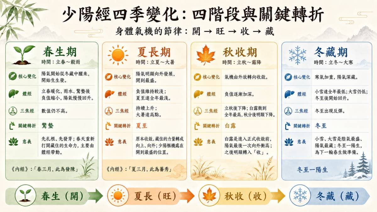 少陽相火在一年四季的能量變化