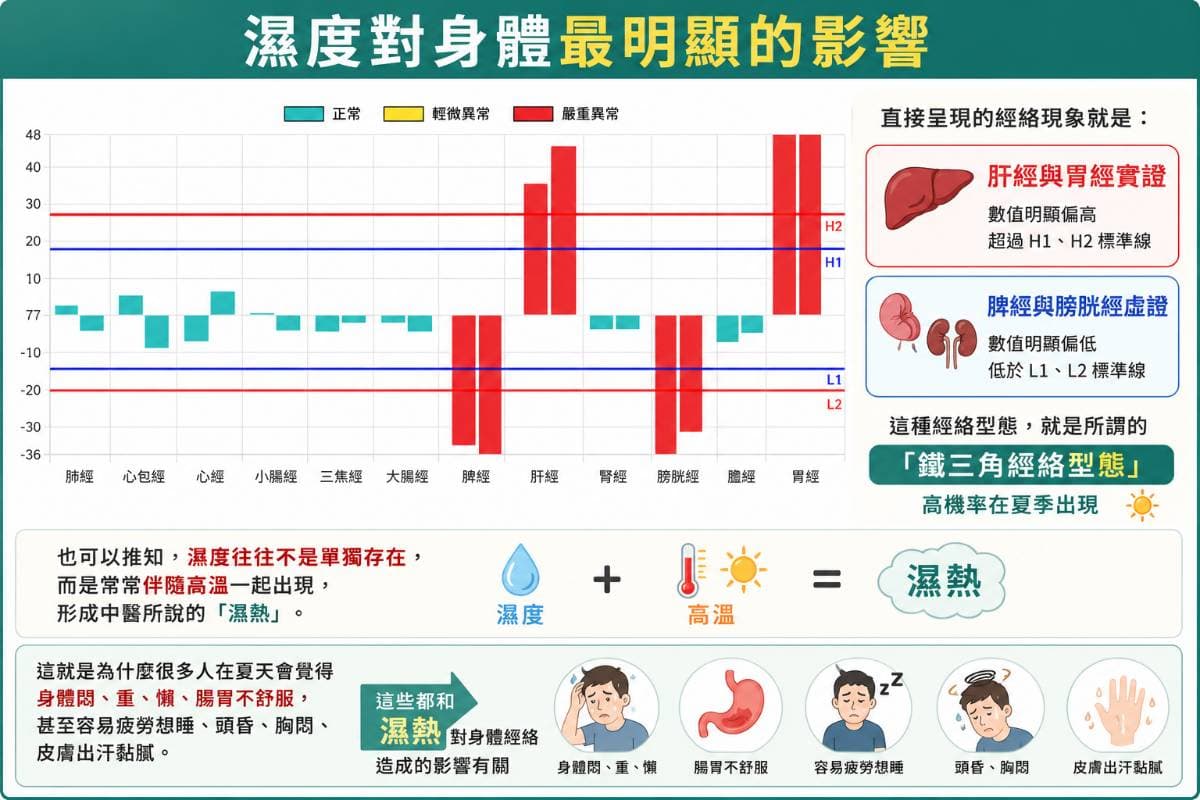 濕熱對身體的影響就鐵三角經絡型態