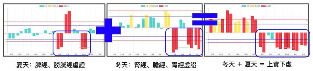 冬天與夏天的兩種經絡型態加總，就會形成上實下虛