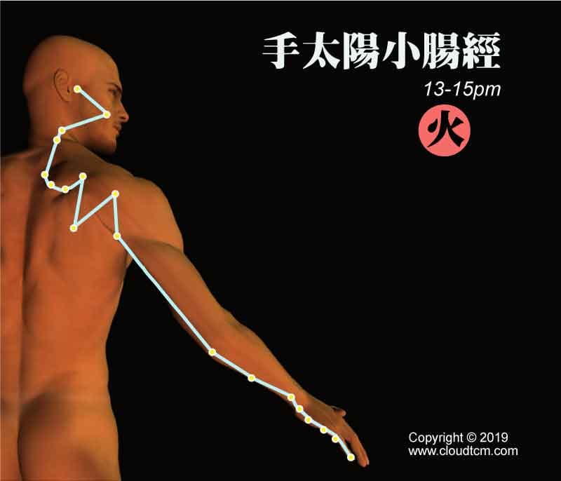 小腸經的運行時間是下午13-15點