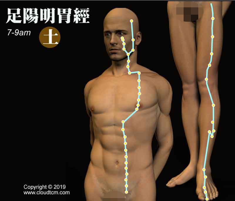胃經的運行時間是早上7-9點
