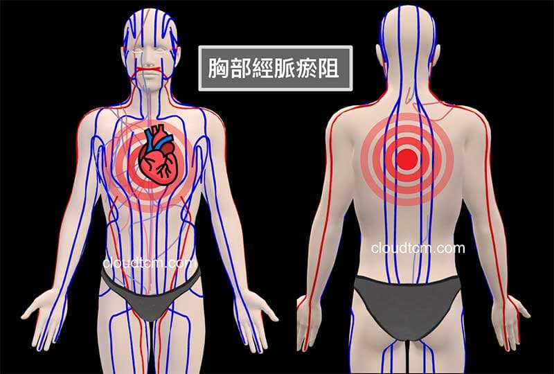 現代人通往胸部的經絡氣血長期不佳