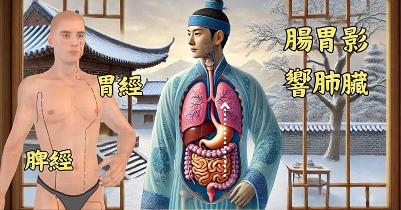 脾經與胃經運行路線中，會通過肺臟