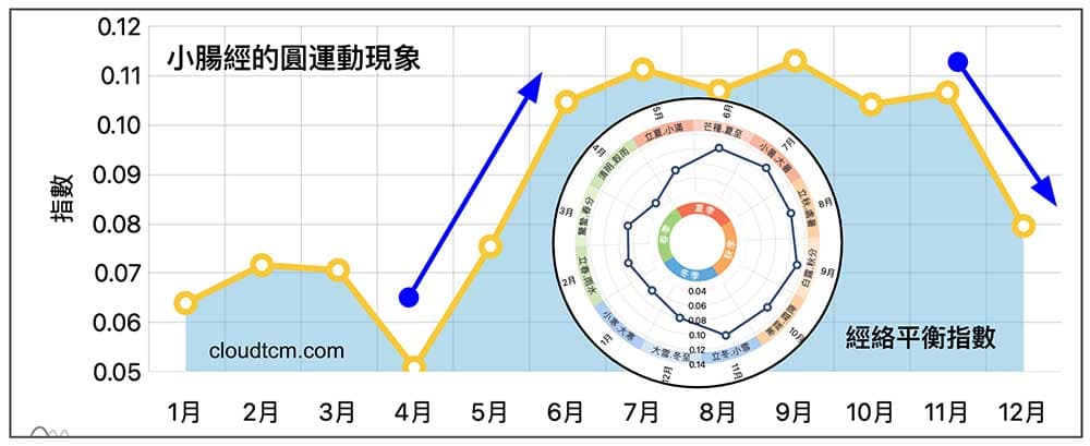 小腸經在每年冬季至春季這段期間容易阻塞