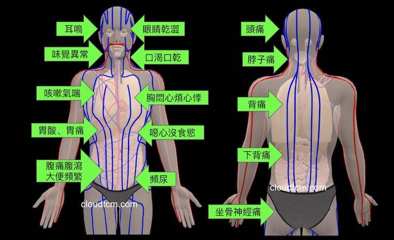 秋季上實下虛經絡型態常出現的相關症狀