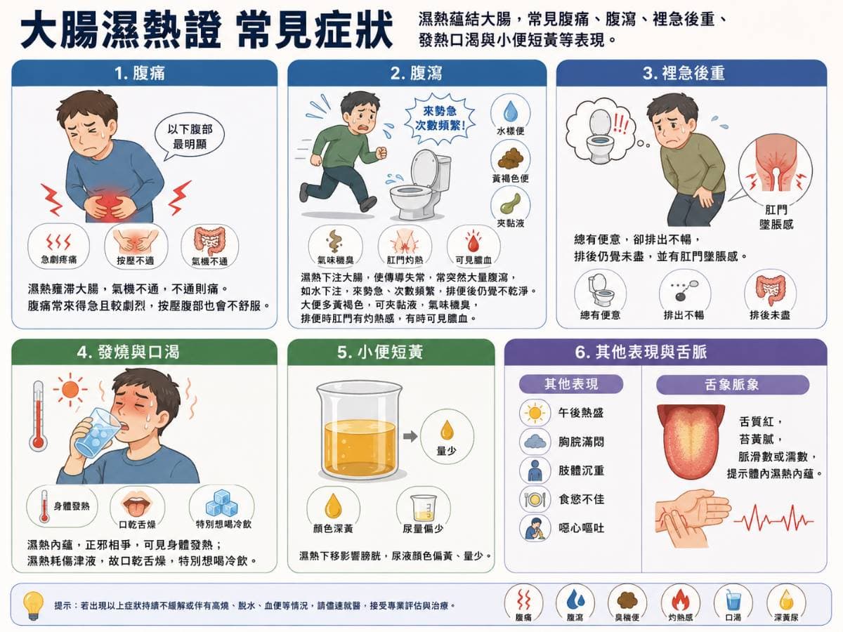大腸濕熱證的症狀