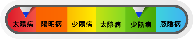 真武湯證，主要應用於太陽病與少陰病範疇