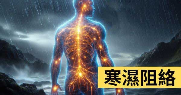 寒濕阻絡