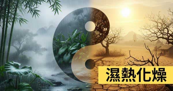 濕熱化燥