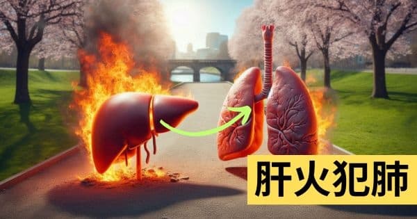 肝火犯肺