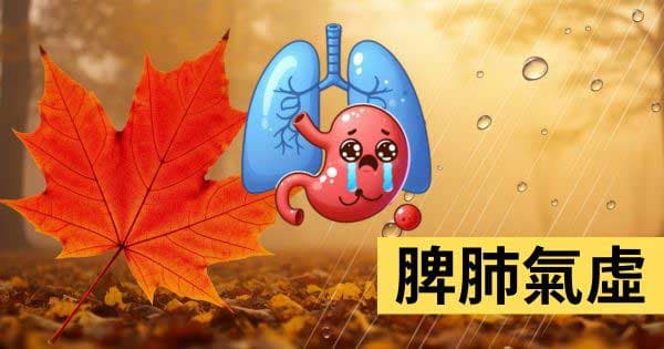 脾肺氣虛
