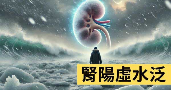 少陰陽虛水泛