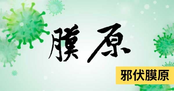 邪伏膜原