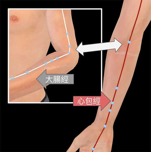 手厥陰心包經