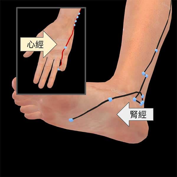 手少陰心經