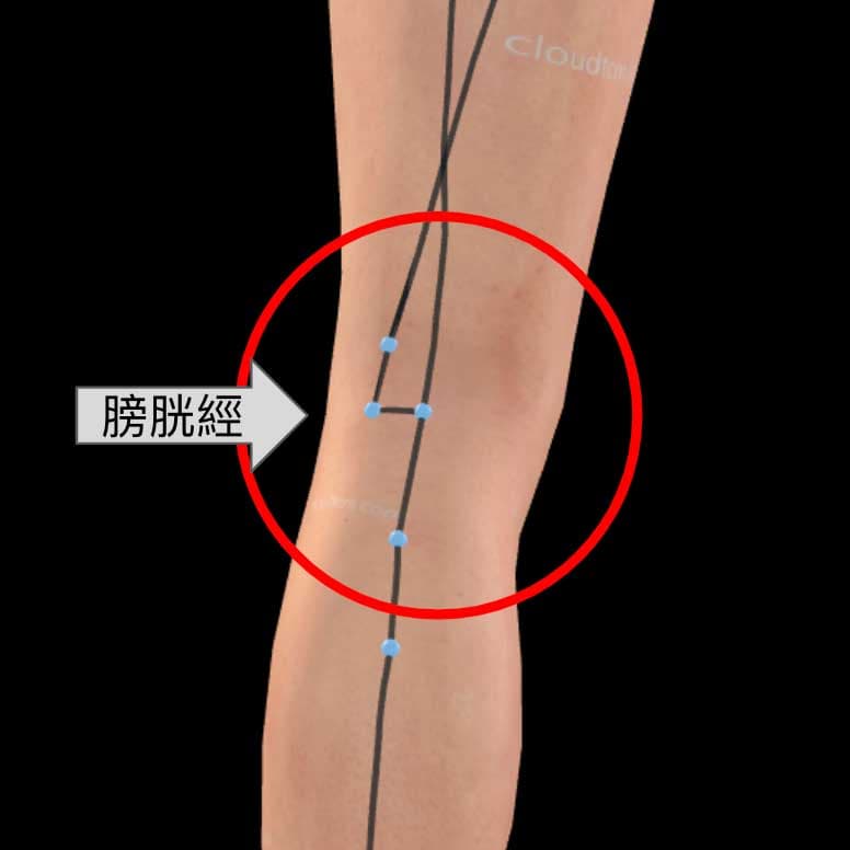 足太陽膀胱經