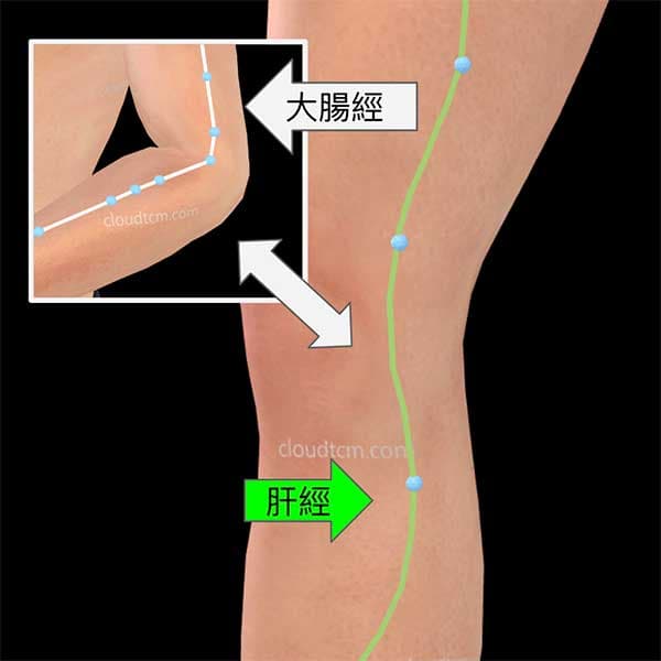 手陽明大腸經