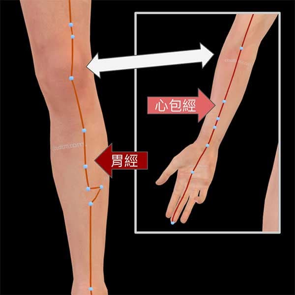 手厥陰心包經