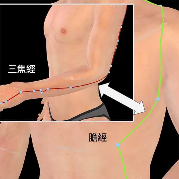 足少陽膽經