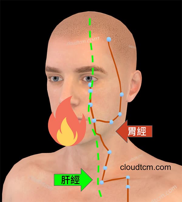 肝經與胃經都通往咽喉，火氣大時造成乾痛