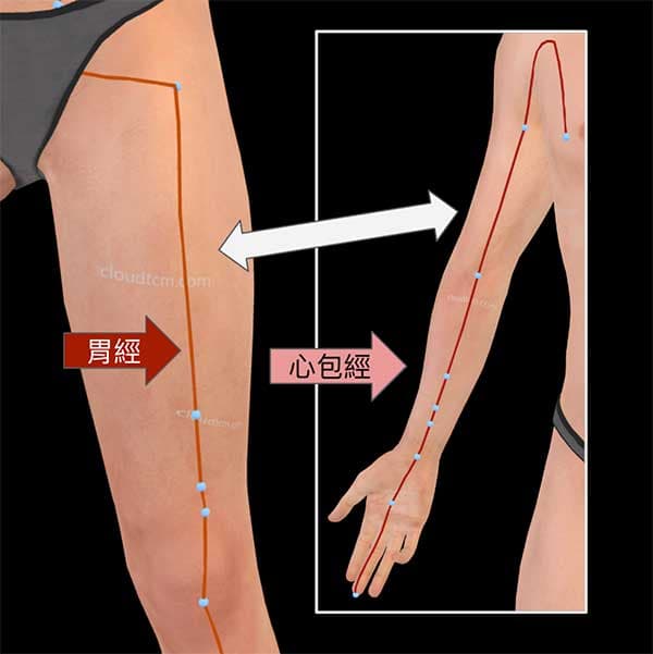 手厥陰心包經