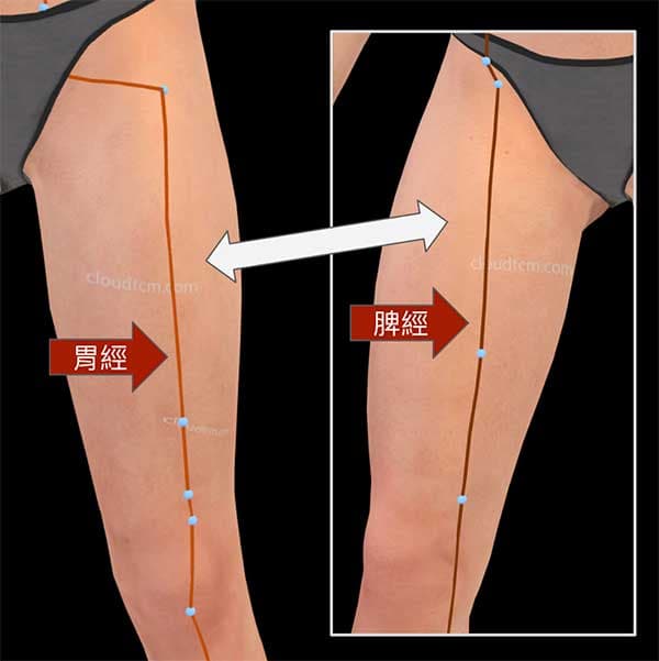 足陽明胃經