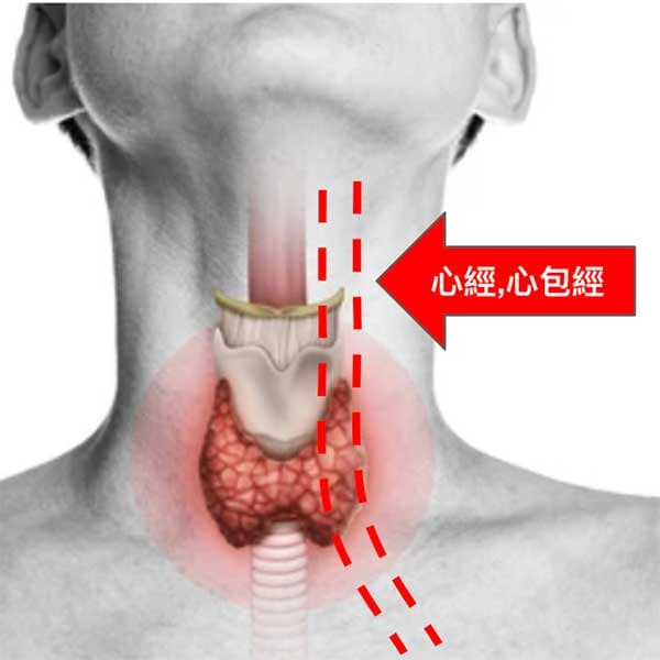 手厥陰心包經