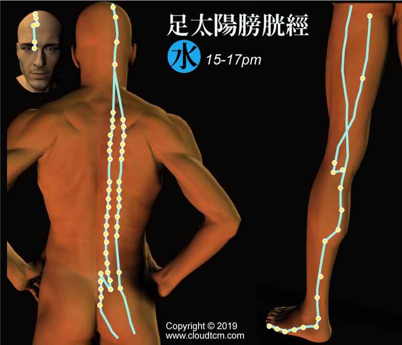 足太陽膀胱經
