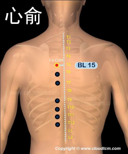 心俞