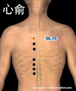 心俞