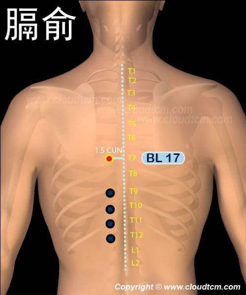 膈俞