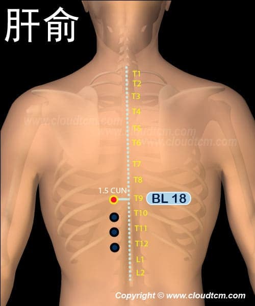 肝俞