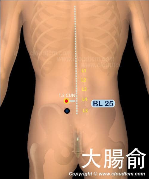 大腸俞