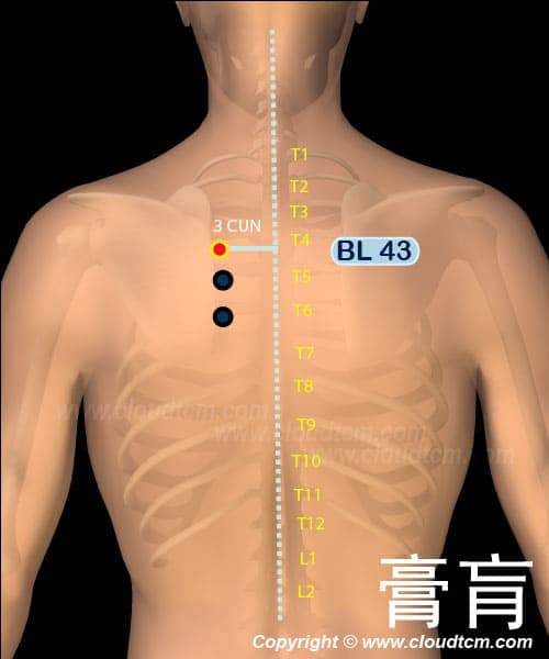 膏肓