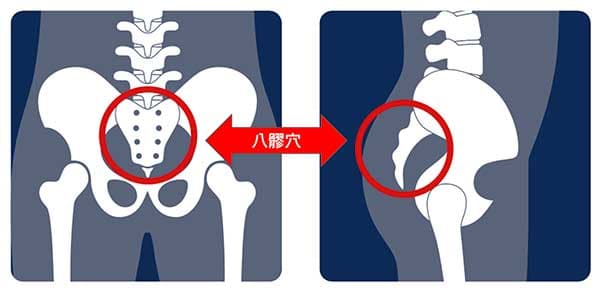 溫暖八髎穴可以改善骨盆腔的一系列疾病