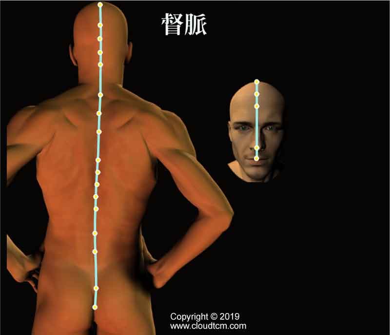 督脈