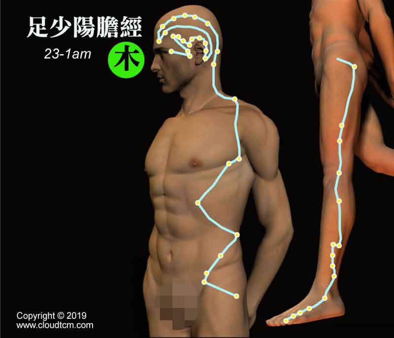 懶人居家針灸法：運用「低週波電療」快速疏通膽經