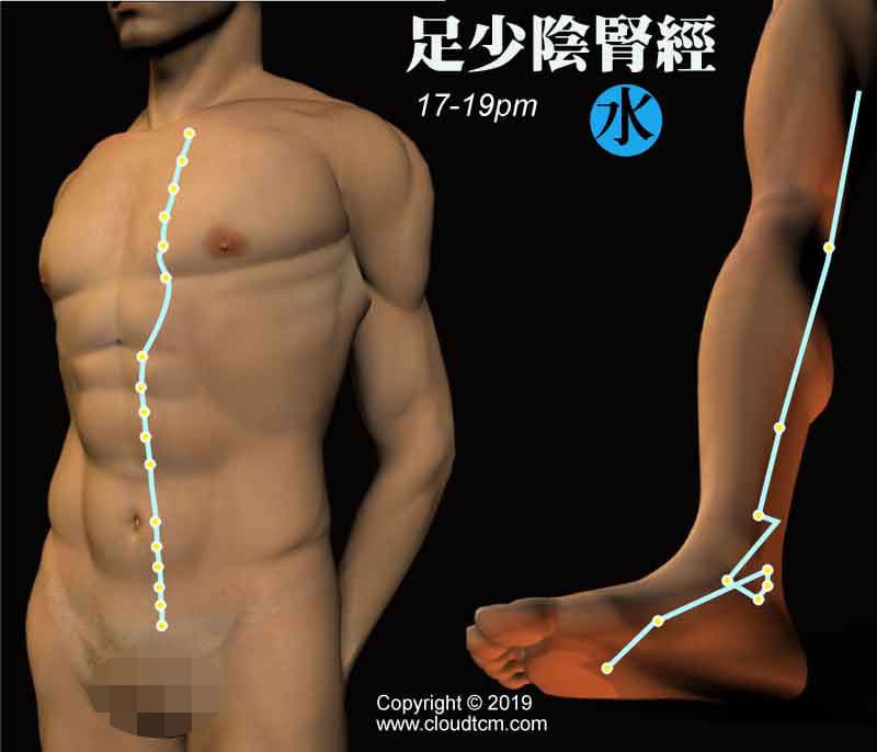 足少陰腎經