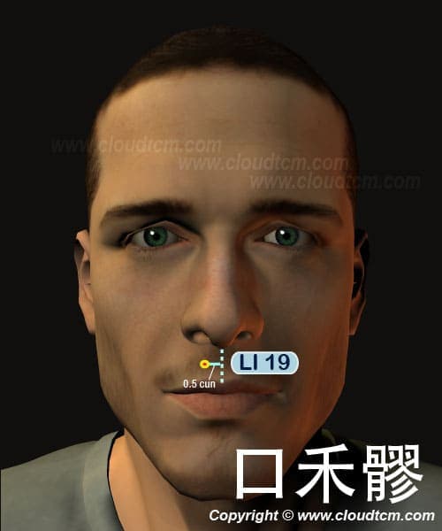 口禾髎
