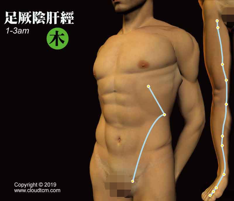 足厥陰肝經