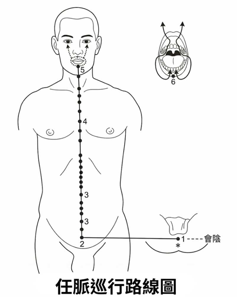 任脈
